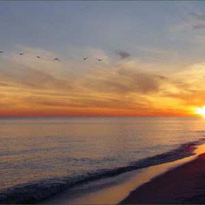 Holmes Hideaway Beach Condo Rental in Orange Beach Alabama